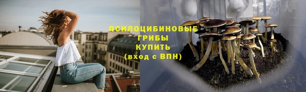 mdpv Балахна